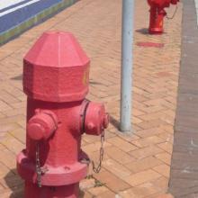 Old & New Fire Hydrants - Kowloon Tong