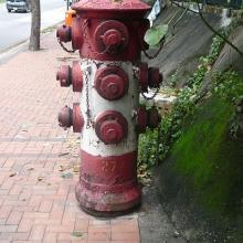 Old Fire Hydrant