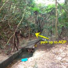 AOP path