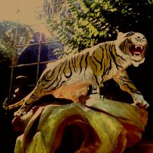 Tiger - Tiger Balm Gardens 1998