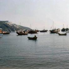 1979 - Stanley Bay