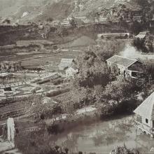 1929 Sham Shui Po Farmland
