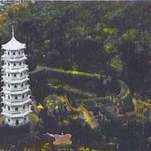 1950s Tiger Pagoda & Pavilion (Lower Level)