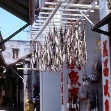 1980 - Tai O