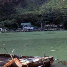 1980 - Tai O