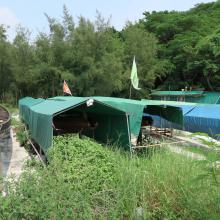 Dragon Boats at Sai Wan, Cheung Chau