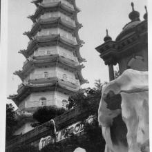 The Pagoda —Tiger Balm 1958