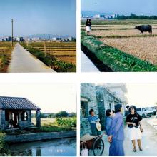 4   Beishan Village, Kaiping, Guangdong - Farms (1991)