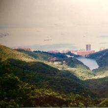 view from the Peak 1994 - Pokfulam Reservoir.