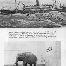 Circus Elephant unloaded-Mackie's Wharf-North Point