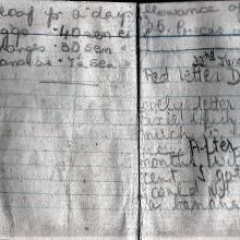 Diary - pages 19-20.JPG