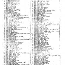 Tse Dickuan's list of POWs. Page 31 of 45