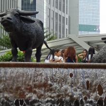 Water Buffalo Sculptures