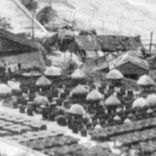 Trays, barrels and umbrellas