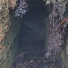 Site I: tunnel entrance