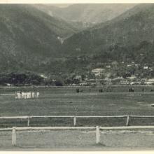 The Wong-Nei-Cheong Valley and Race Course