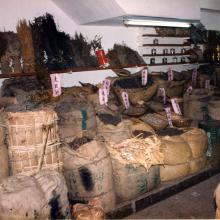 Dried herbal medicine store