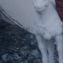 White marble pony 