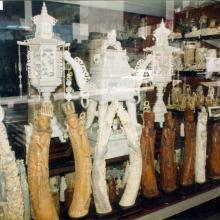 Ivory shop window