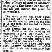 Kung-fu Panda-attacks pilots-HK Telegraph-02-05-1939