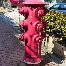 Cornwall Street Heavy Draw off Hydrant