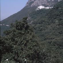 Victoria Peak 1986