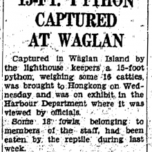 Python captured at Waglan Island-HK Daily Press-20-09-1940