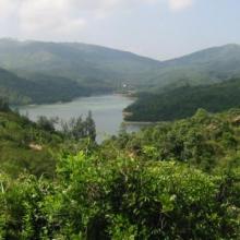 Shing Mun reservoirs