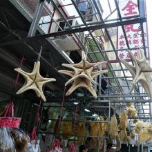 2007 Tai O Dried Seafood Market