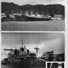 Taikoo Dockyard 1950s.jpg