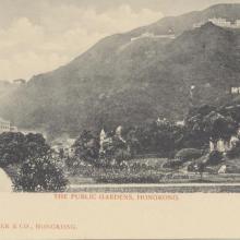 The Public Gardens, Hong Kong. Postcard purchased 1908.jpg