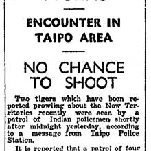 Tiger Tiger-HK Telegraph-02-01-1936