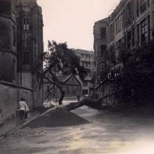 Wood Road 1936 Typhoon